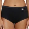 Chantelle Cotton Comfort High Waist Brief - Black