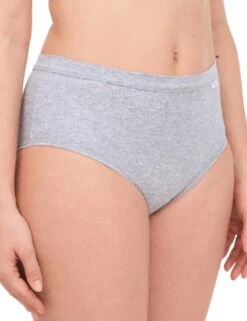 Chantelle Cotton Comfort High Waist Brief - Heather Grey -Belle Lingerie Store 61288 chantelle cotton comfort high waist brief heather grey 3