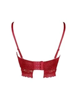 Pour Moi Rebel Underwired Strapless Longline Bra - Red -Belle Lingerie Store 62008 pour moi rebel underwired strapless longline bra red 3