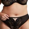 Sculptresse By Panache Josephine Thong - Black/Latte