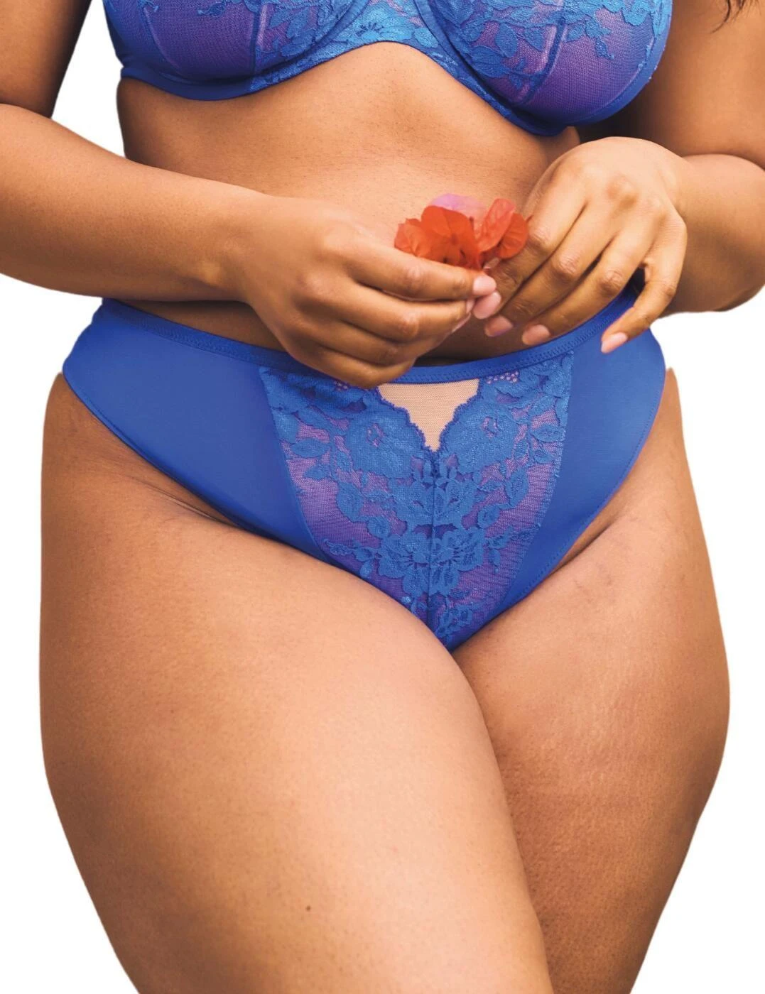 Sculptresse By Panache Josephine Thong - Cobalt/Latte 2 Sculptresse By Panache Josephine Thong - Cobalt/Latte - Image 2