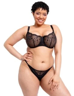 Curvy Kate Stardust Thong - Black Sparkle -Belle Lingerie Store 64051 curvy kate stardust thong black sparkle 7