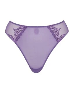 Curvy Kate Flare Deep Thong - Amethyst Purple -Belle Lingerie Store 64062 curvy kate flare deep thong amethyst purple 3