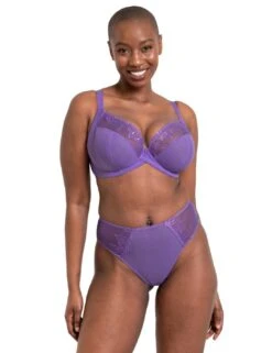 Curvy Kate Flare Deep Thong - Amethyst Purple -Belle Lingerie Store 64062 curvy kate flare deep thong amethyst purple 4