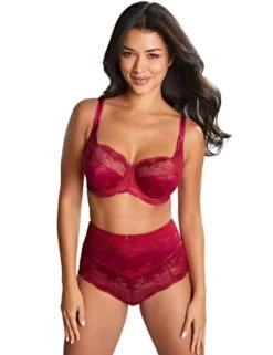 Panache Clara High Waist Brief - Orchid/Red -Belle Lingerie Store 64190 panache clara high waist brief orchidred 4
