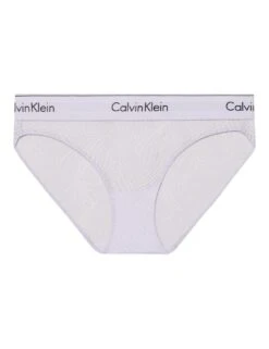Calvin Klein Brief - Lavender Blue -Belle Lingerie Store 64338 calvin klein brief lavender blue 3