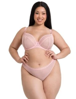 Curvy Kate Lifestyle Thong - Blush Pink 13 Curvy Kate Lifestyle Thong - Blush Pink -Belle Lingerie Store 64527 curvy kate lifestyle thong blush pink 4