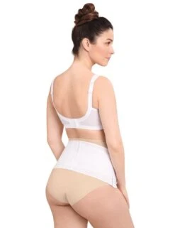 Anita Maternity Essential 2 Pack Maternity Brief - Desert 16 Anita Maternity Essential 2 Pack Maternity Brief - Desert -Belle Lingerie Store 65434 anita maternity essential 2 pack maternity brief desert 8