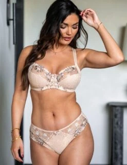 Pour Moi Sofia Lace Embroidered Brief - Latte -Belle Lingerie Store 65487 pour moi sofia lace embroidered brief latte 6