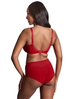 Panache Tango Lace Balcony Bra - Scarlet 10 Panache Tango Lace Balcony Bra - Scarlet -Belle Lingerie Store 66637 panache tango lace balcony bra scarlet 5