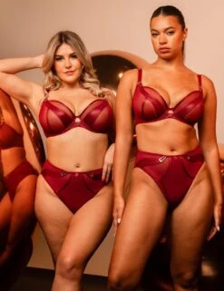 Scantilly By Curvy Kate Suspense High Waist Brief - Sangria -Belle Lingerie Store 67022 scantilly by curvy kate suspense high waist brief sangria 10