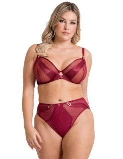 Scantilly By Curvy Kate Suspense High Waist Brief - Sangria -Belle Lingerie Store 67022 scantilly by curvy kate suspense high waist brief sangria 4