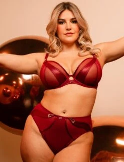 Scantilly By Curvy Kate Suspense High Waist Brief - Sangria -Belle Lingerie Store 67022 scantilly by curvy kate suspense high waist brief sangria 5