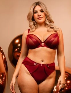Scantilly By Curvy Kate Suspense High Waist Brief - Sangria -Belle Lingerie Store 67022 scantilly by curvy kate suspense high waist brief sangria 6