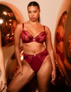 Scantilly By Curvy Kate Suspense High Waist Brief - Sangria -Belle Lingerie Store 67022 scantilly by curvy kate suspense high waist brief sangria 7