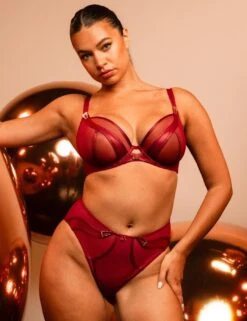 Scantilly By Curvy Kate Suspense High Waist Brief - Sangria -Belle Lingerie Store 67022 scantilly by curvy kate suspense high waist brief sangria 8