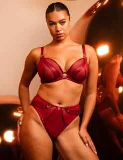 Scantilly By Curvy Kate Suspense High Waist Brief - Sangria -Belle Lingerie Store 67022 scantilly by curvy kate suspense high waist brief sangria 9