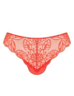 Curvy Kate Lovelace Brazilian Brief - Coral -Belle Lingerie Store 67102 curvy kate lovelace brazilian brief coral 3