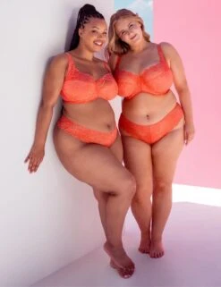 Curvy Kate Lovelace Brazilian Brief - Coral -Belle Lingerie Store 67102 curvy kate lovelace brazilian brief coral 6