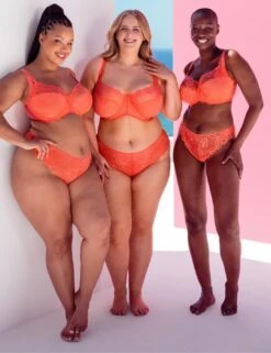 Curvy Kate Lovelace Brazilian Brief - Coral -Belle Lingerie Store 67102 curvy kate lovelace brazilian brief coral 7
