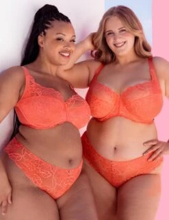 Curvy Kate Lovelace Brazilian Brief - Coral -Belle Lingerie Store 67102 curvy kate lovelace brazilian brief coral 8